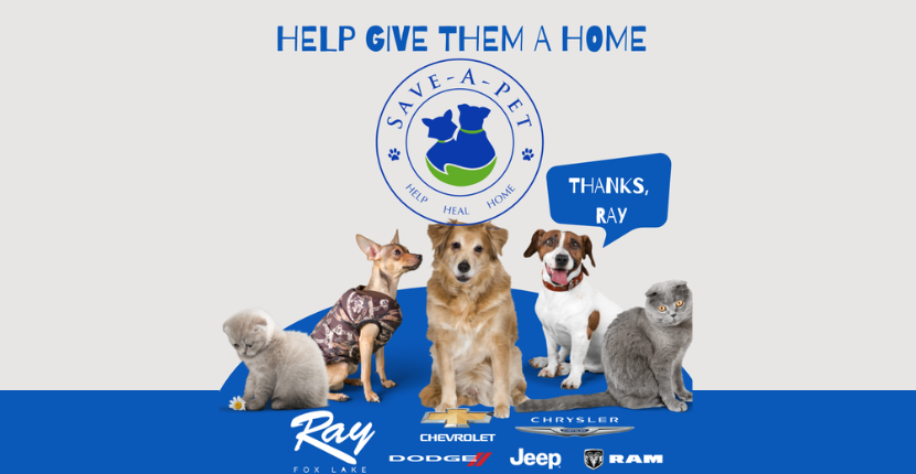 Ray Auto Group Proudly Sponsoring Save-A-Pet